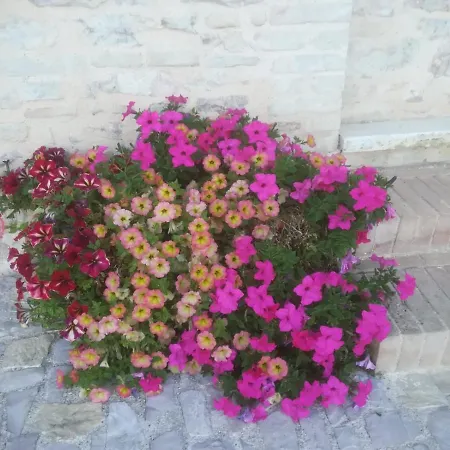 Apartment La Casa Della Maestra Localita San Giovanni *