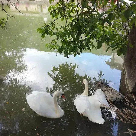 La Casa Della Maestra Localita San Giovanni