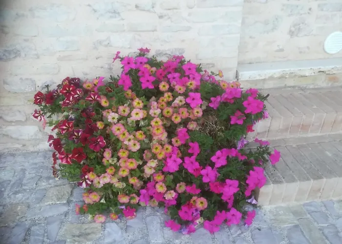 Apartamento La Casa Della Maestra Località San Giovanni *