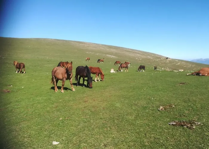 La Casa Della Maestra Località San Giovanni Apartamento Spello
